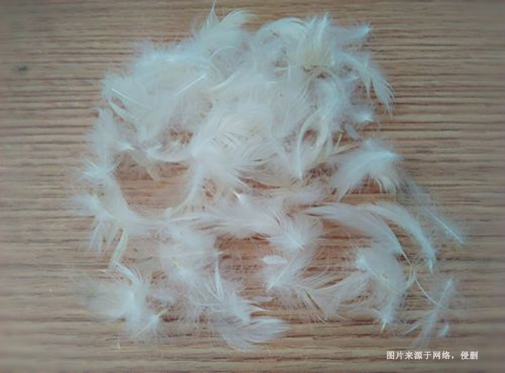 進口馬來西亞水洗鴨毛報關