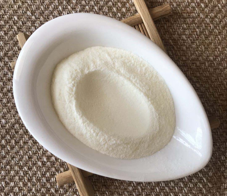 保加利亞乳酸菌粉進口報關流程