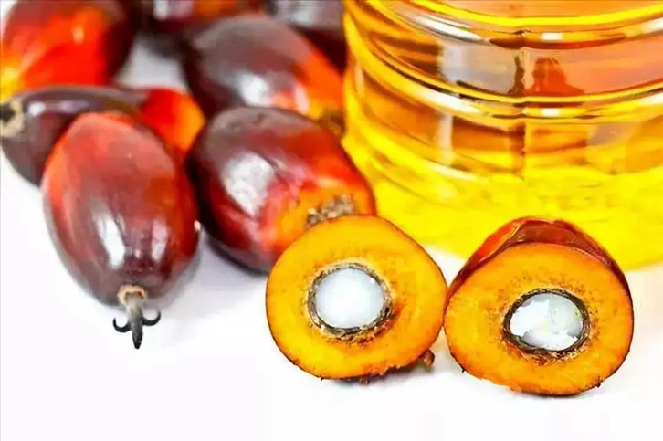 天津棕櫚油進口清關費用