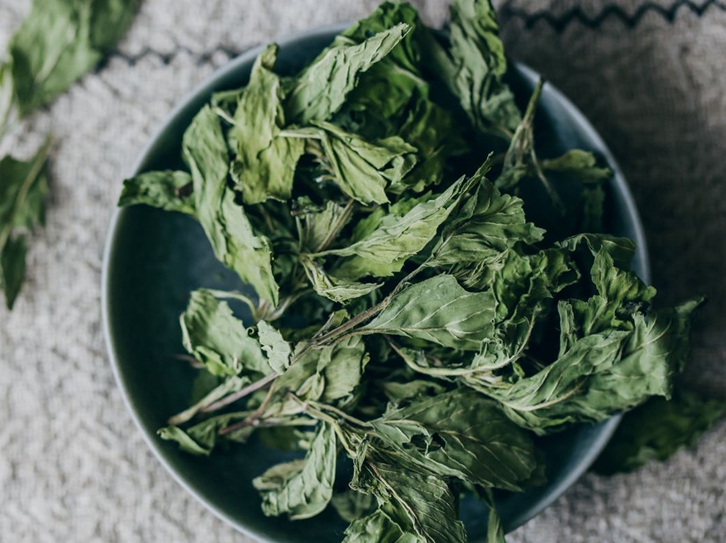 加拿大薄荷進口報關流程