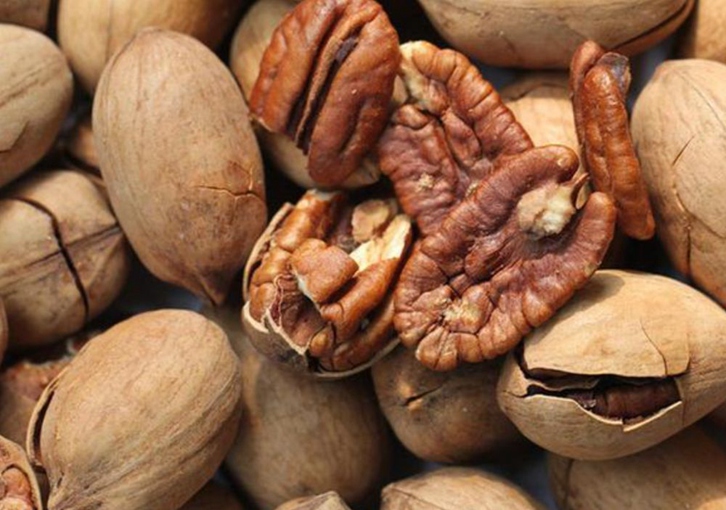 美國山核桃碧根果進口清關資料