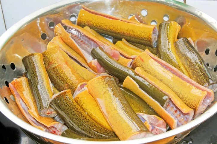 孟加拉黃鱔進(jìn)口清關(guān)費(fèi)用