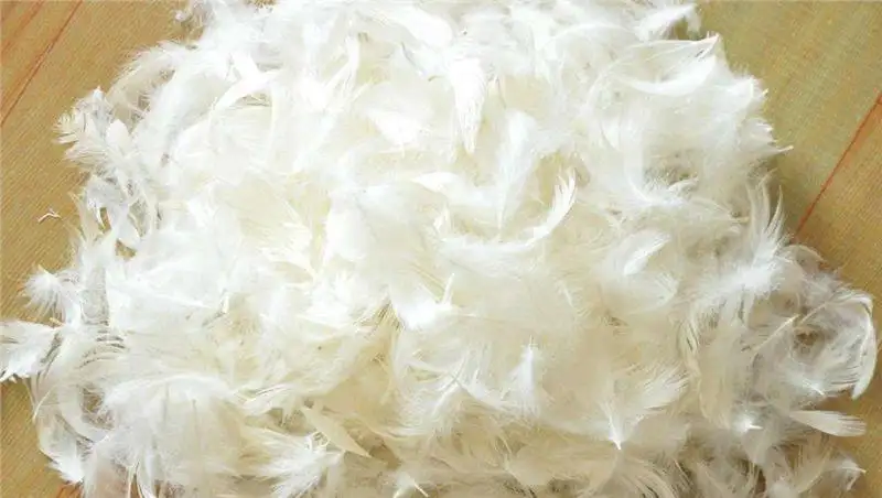 越南到上海外高橋鴨毛進(jìn)口報關(guān)流程代理案例