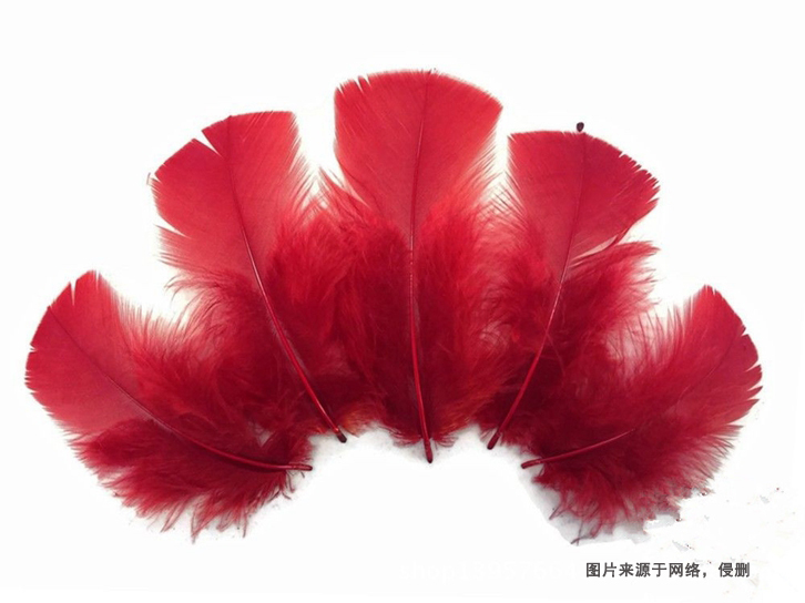 泰國進口火雞毛報關流程