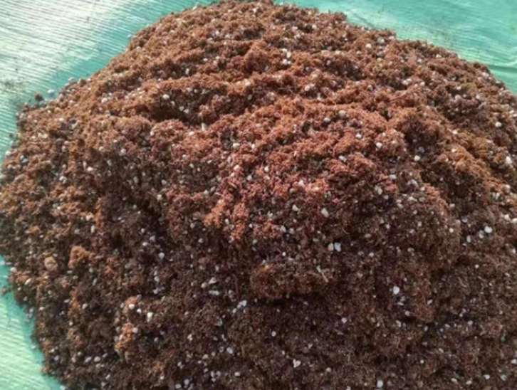 椰糠進口報關(guān)費用