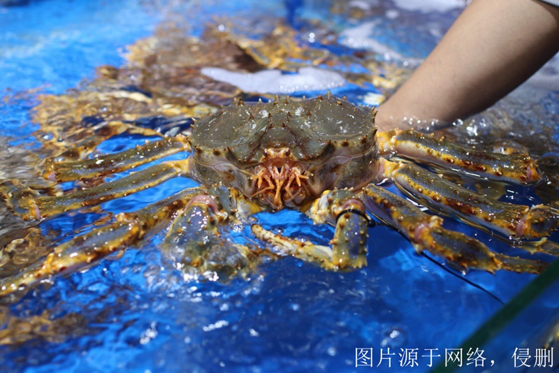 進(jìn)口菲律賓海鮮清關(guān)費(fèi)用怎么算_青島進(jìn)口海鮮報(bào)關(guān)