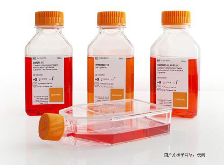德國細胞培養試劑進口報關資料