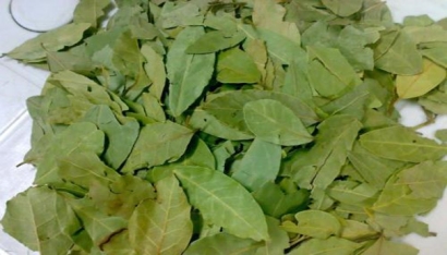 香葉進(jìn)口報關(guān)注意事項有哪些？