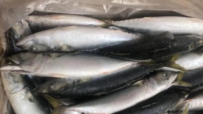 冷凍魚進口報關流程_進口冷凍魚到國內(nèi)報關的注意事項