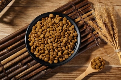 廣州貓糧進(jìn)口報關(guān)公司哪家好?貓糧進(jìn)口報關(guān)公司如何選擇?