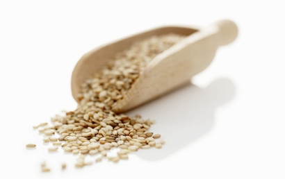 深圳芝麻進(jìn)口清關(guān)代理服務(wù)