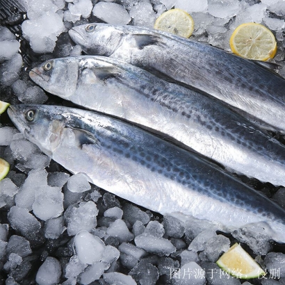 越南進(jìn)口冰鮮魚清關(guān)流程_胡志明港海運(yùn)報(bào)關(guān)費(fèi)用