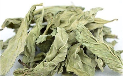 干薄荷葉進(jìn)口報(bào)關(guān)的流程是怎樣的？