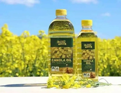 上海進口菜籽油清關公司哪家好？菜籽油報關公司