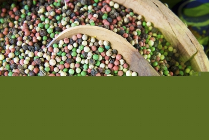 廣州港進口胡椒清關(guān)公司代理所需資料