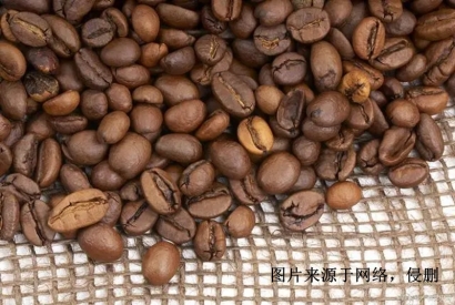 印尼進(jìn)口報(bào)關(guān)行哪家好？印度尼西亞可可豆清關(guān)資料