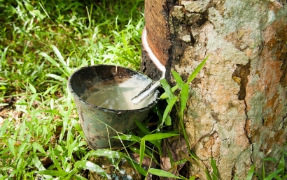 天然乳膠進(jìn)口清關(guān)