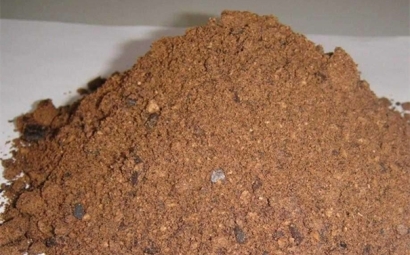 棕櫚粕進口報關所需資料一覽，了解一下