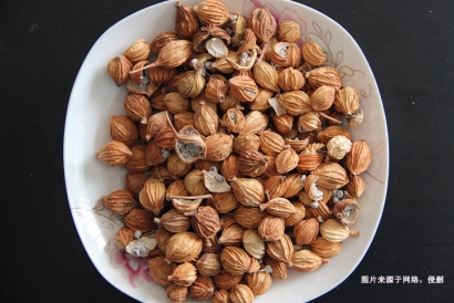 天津進口印尼白豆蔻報關(guān)流程_藥材豆蔻進口準入要求