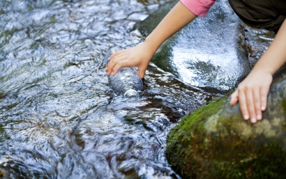 天津礦泉水進口清關(guān)代理