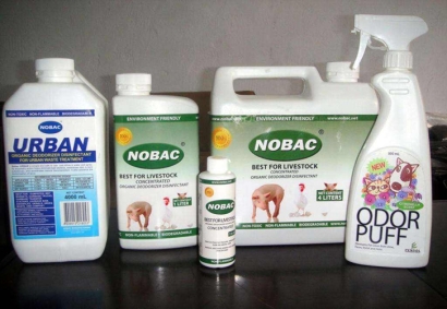 廣州進(jìn)口清潔膏意大利報關(guān)流程代理海運日用品案例