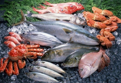 清關(guān)公司：進(jìn)口冷凍海鮮報(bào)關(guān)需要什么手續(xù)資料