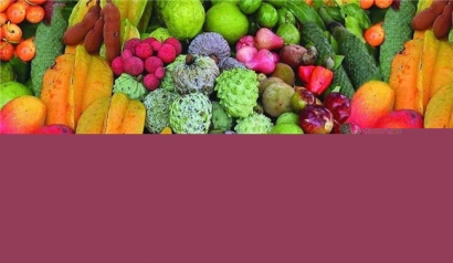 泰國水果進(jìn)口報(bào)關(guān)一站式代理服務(wù)公司