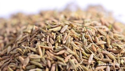 埃及枯茗子孜然進口報關(guān)資料-18年調(diào)味料報關(guān)行