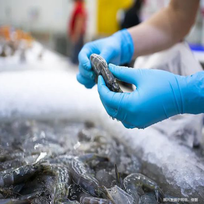 成都冷凍食品進(jìn)口報關(guān)清關(guān)