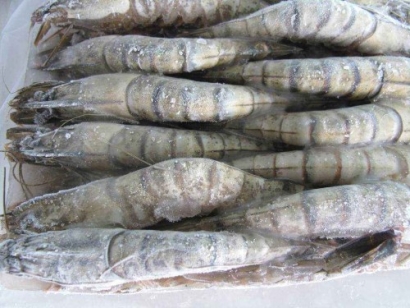 這是一家有著15年海鮮進(jìn)口報關(guān)經(jīng)驗的代理公司