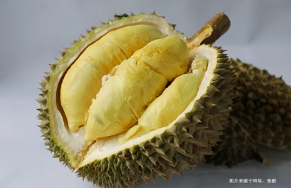 桂林進(jìn)口泰國榴蓮報關(guān)流程_泰國榴蓮進(jìn)口空運費用