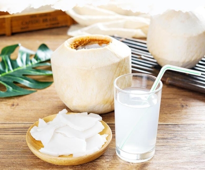 越南椰子進(jìn)口報關(guān)資料_廣州椰子進(jìn)口報關(guān)流程手續(xù)