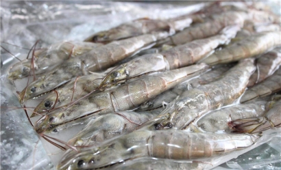 越南蝦進口報關(guān)流程技巧講解，get到了嗎