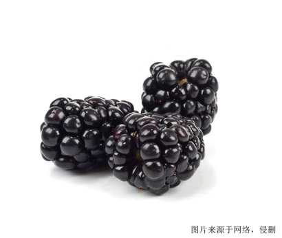 濟南食品進口報關，伊朗桑葚進口怎么報關？