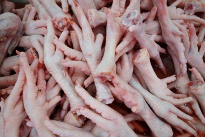 天津雞爪進(jìn)口報關(guān)費(fèi)用以及流程手續(xù)資料「快速通關(guān)」