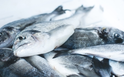 冷凍魚進口報關注意事項有這些，參考一下