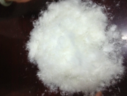 波蘭羽絨進口報關(guān)流程_波蘭準(zhǔn)入水洗羽絨羽毛企業(yè)