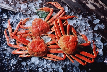 廣州機(jī)場(chǎng)進(jìn)口斯里蘭卡螃蟹報(bào)關(guān)費(fèi)用_水產(chǎn)品通關(guān)費(fèi)