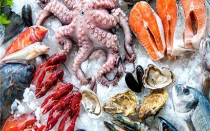 美國冷凍海鮮進口報關的相關問答，了解一下