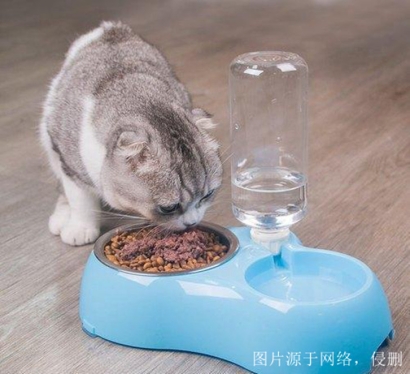 3分鐘看懂山東煙臺進(jìn)口尼泊爾寵物用品報(bào)關(guān)資料