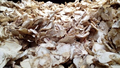 印尼魔芋可以進口嗎？魔芋干進口報關準入國