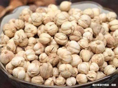 進口老撾豆蔻報關流程_進口藥材豆蔻基本流程手續