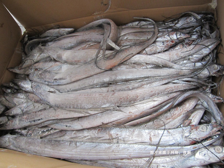 青島進(jìn)口冷凍帶魚報(bào)關(guān)資料 青島進(jìn)口冷凍帶魚報(bào)關(guān)資料