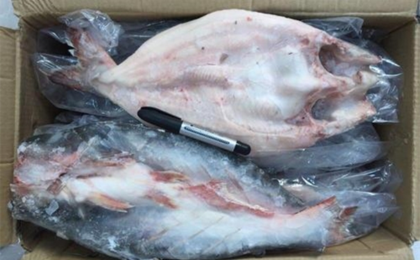 越南冷凍巴沙魚進口報關 越南冷凍巴沙魚進口報關