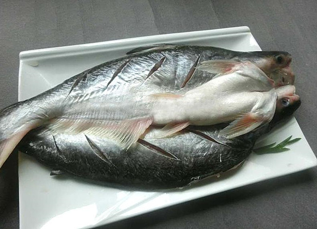 馬來(lái)西亞冷凍黑虎蝦進(jìn)口報(bào)關(guān)