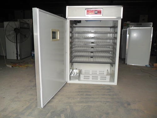 深圳鳥(niǎo)類(lèi)產(chǎn)品孵化儀器設(shè)備進(jìn)口報(bào)關(guān)代理 深圳鳥(niǎo)類(lèi)產(chǎn)品孵化儀器設(shè)備進(jìn)口報(bào)關(guān)代理