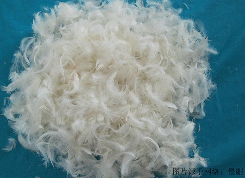 鴨毛進(jìn)口報(bào)關(guān)資料 鴨毛進(jìn)口報(bào)關(guān)資料