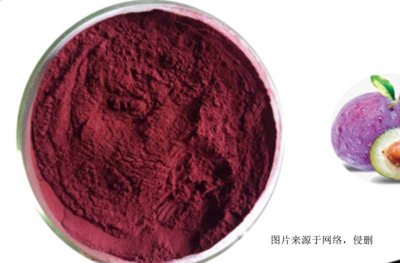 智利西梅果粉進口報關資料 智利西梅果粉進口報關資料