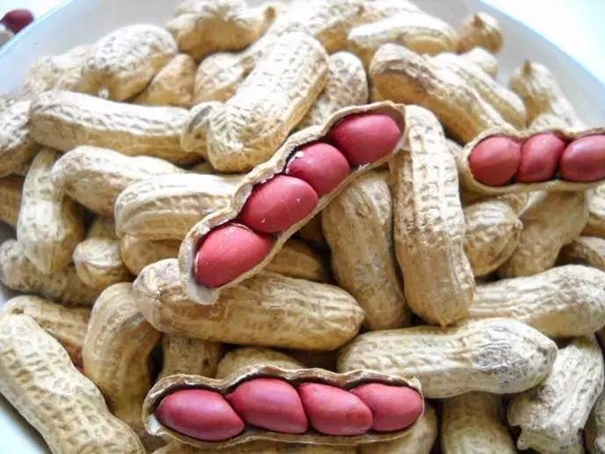 1638359170278940.jpg 花生進口清關(guān)代理需要的資質(zhì)以及資料_副本.jpg