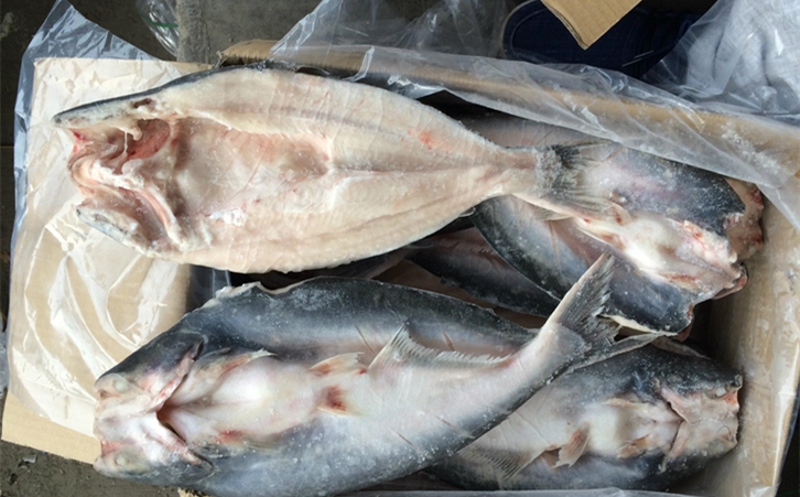 進口巴沙魚清關(guān)代理一點都不難，只要你準(zhǔn)備好這些資料